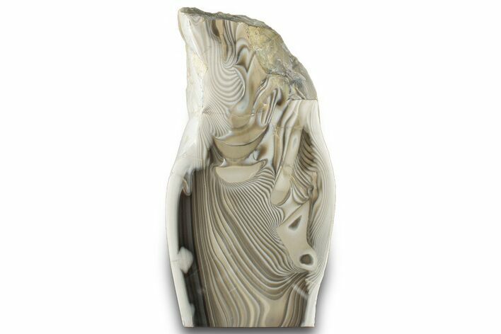 Polished Striped Flint Stand Up - Poland #302934